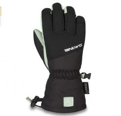Accessories Dakine Kid's Rover Gore-Tex Glove