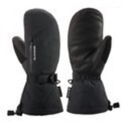 Dakine Men's Leather Titan Gore-Tex Mitt Accessories