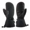 Accessories Dakine Men's Leather Titan Gore-Tex Mitt