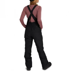 Burton Women's Gore-Tex Avalon Bib