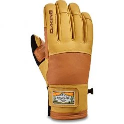 Dakine Men's Team Maverick Gore-Tex Glove