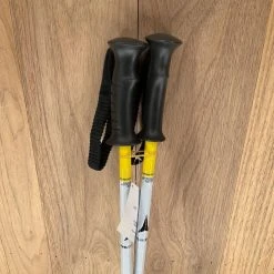 Atomic Jr Ski Poles